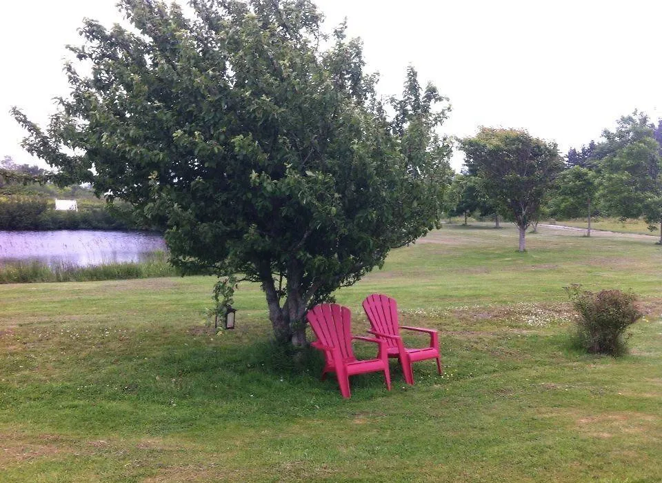 Argyle By The Sea Bed & Breakfast-1
